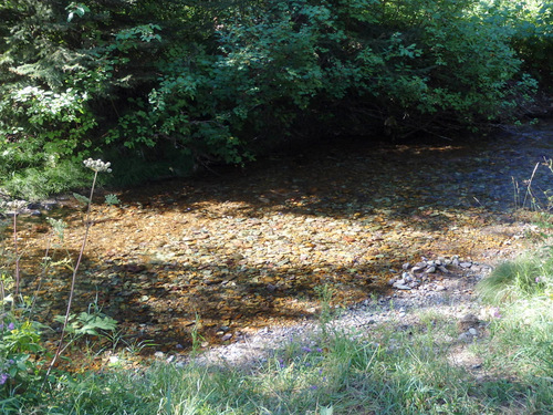 GDMBR: our one and only chance to obtain water until over Huckleberry Pass.
